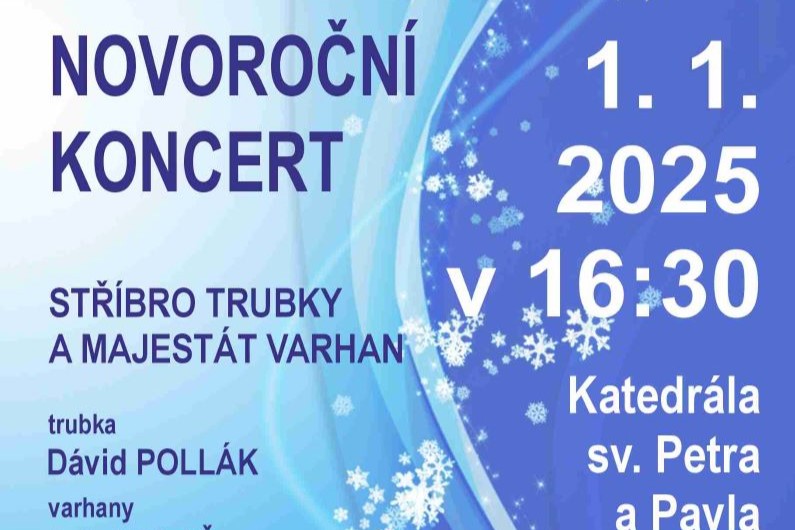 Novoroční koncert v katedrále